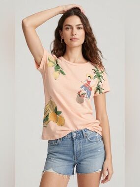 J.Crew Vintage Postcard Tee Size XS